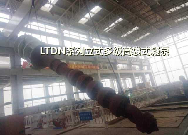 LDTN系列立式多级筒袋式凝泵